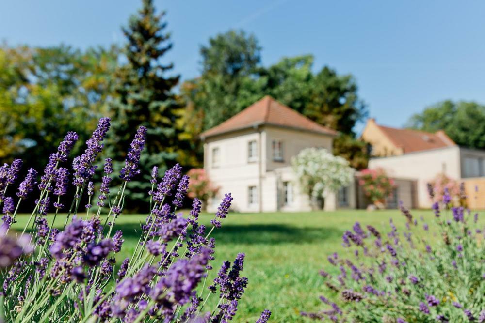 Landhaus Am Jungfernsee Potsdam Buitenkant foto